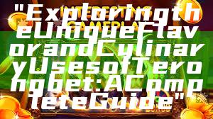 "Exploring the Unique Flavor and Culinary Uses of Terongbet: A Complete Guide"